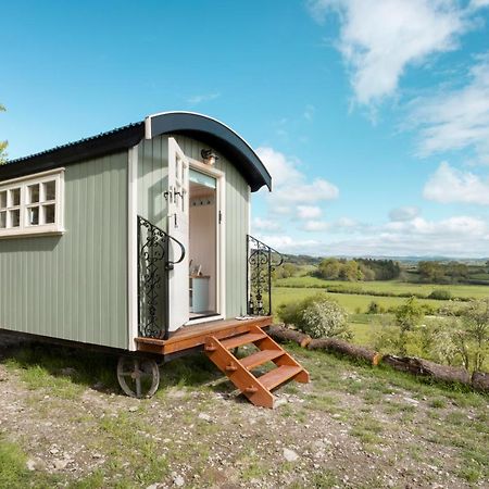 The Heron Shepherds Hut At Lyth Valley Brigsteer Exterior foto